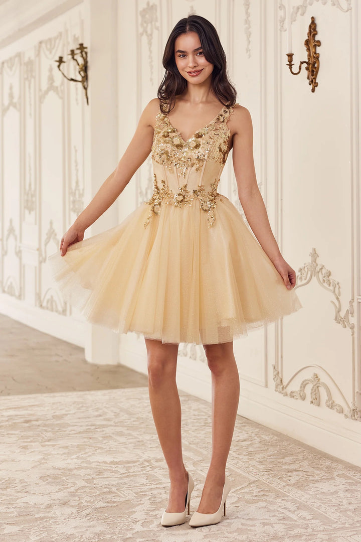 Lumidress Sleeveless V-Neck Sequin Applique Short Tulle Dress
