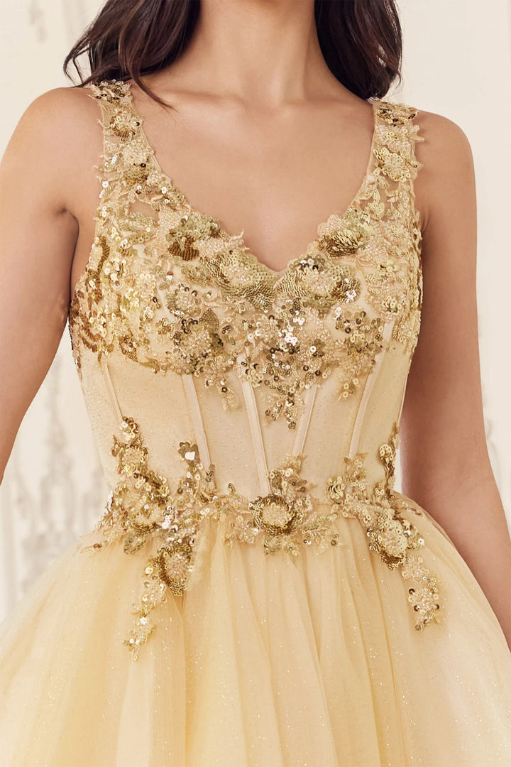 Lumidress Sleeveless V-Neck Sequin Applique Short Tulle Dress
