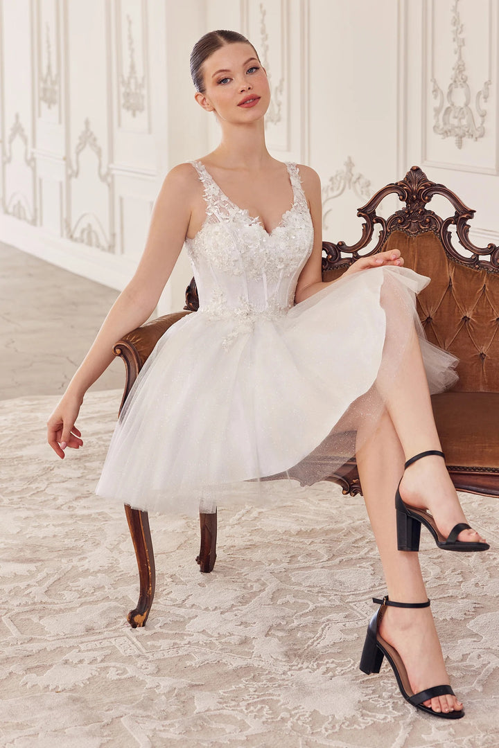 Lumidress Sleeveless V-Neck Sequin Applique Short Tulle Dress