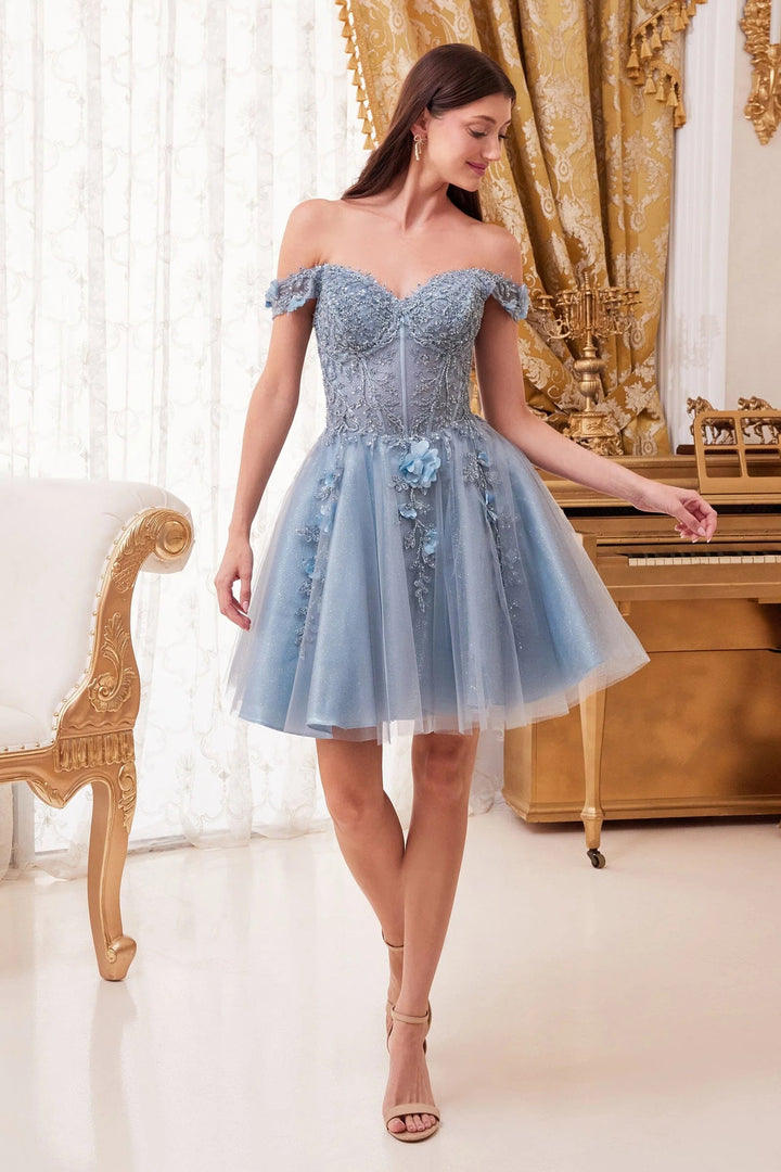 Lumidress Charming Off-Shoulder Floral Applique A-Line Tulle Dress