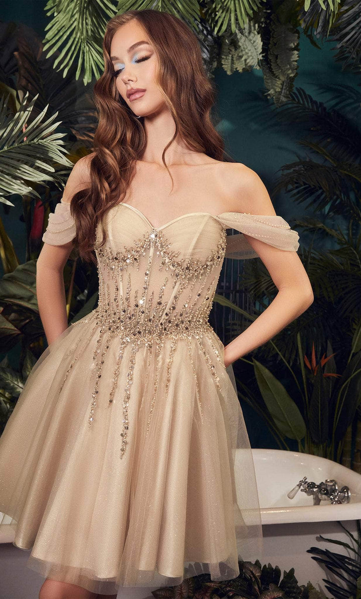 Lumidress Off-Shoulder Corset Bodie A-Line Glitter Tulle Homecoming Dress