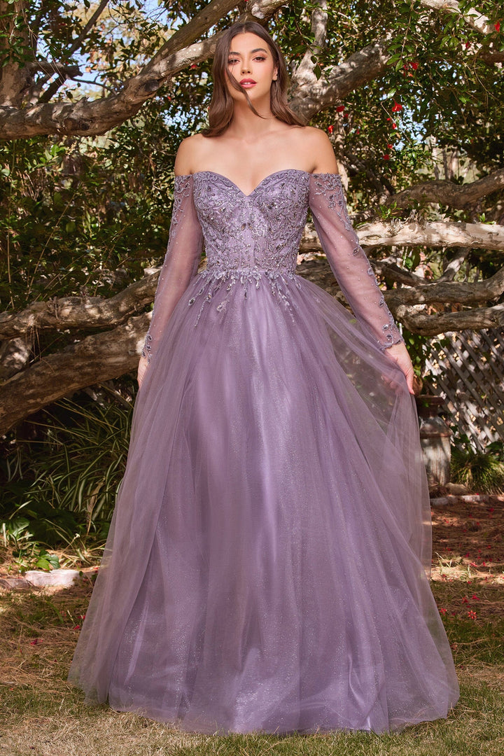 Lumidress Off Shoulder Long Sleeve A-Line Glitter Tulle Dress